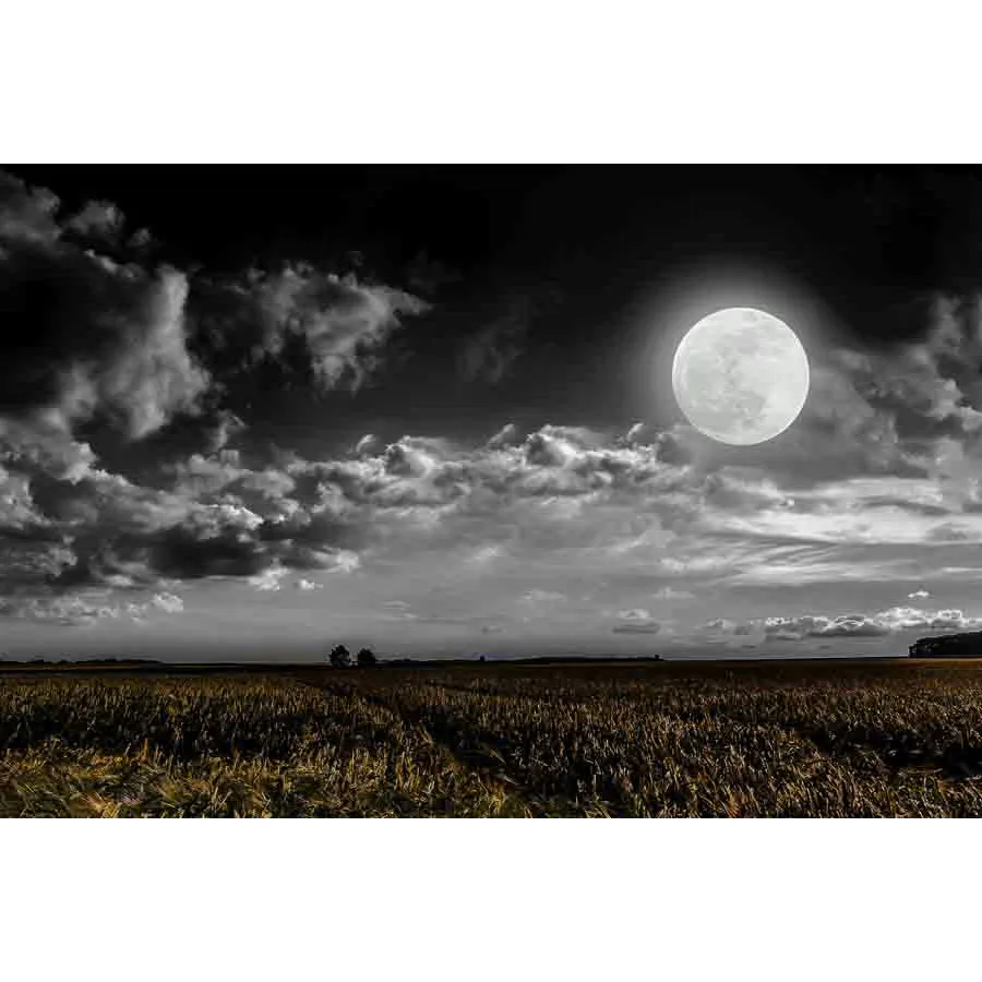 Shoot for the moon
